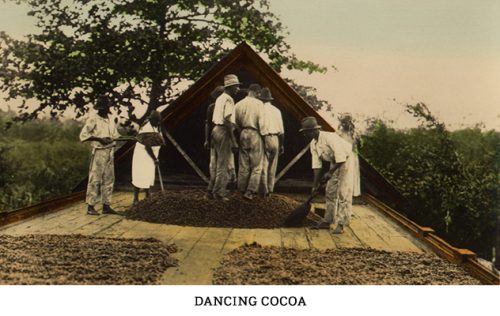 Dancing cocoa